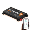 12V 100Ah Self-Heating LiFePO4 Battery P14965