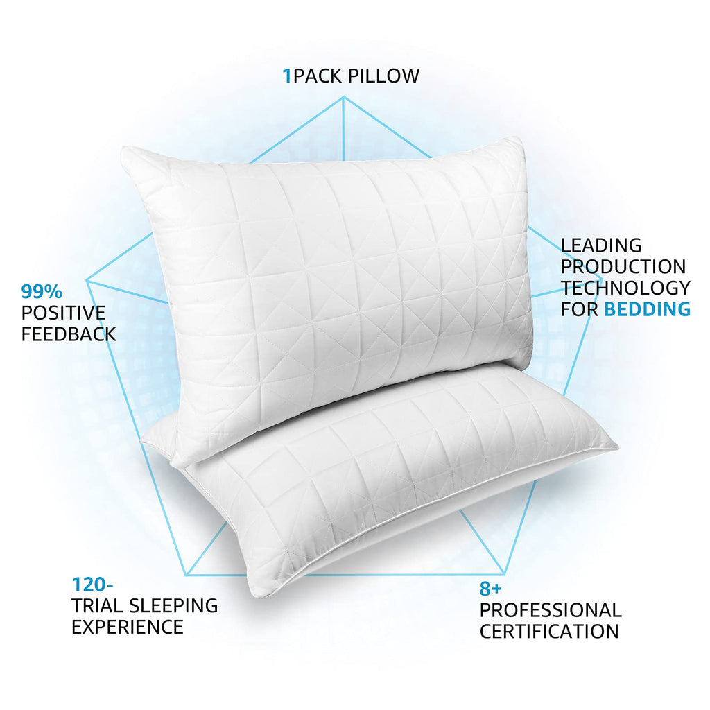 King Size Down Alternative Pillows Set of 2 C741776
