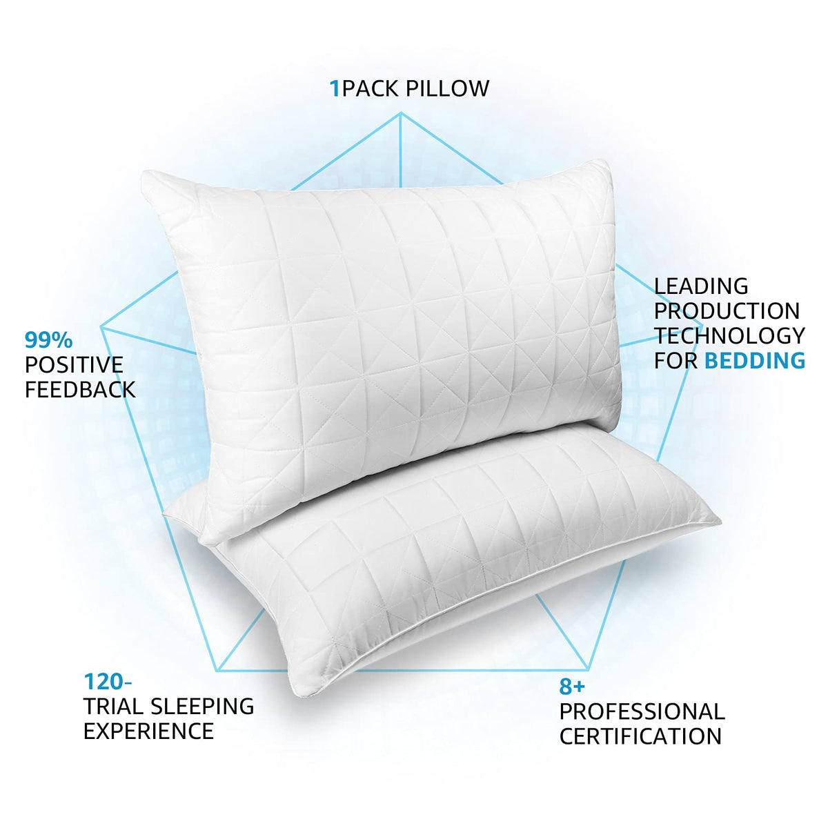 King Size Down Alternative Pillows Set of 2 C741776