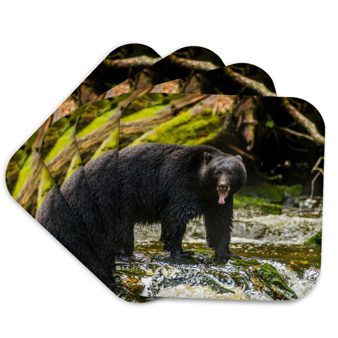 Set of 4 Coasters R74740