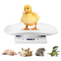 Digital Mini Pet Scale with Tray P57990