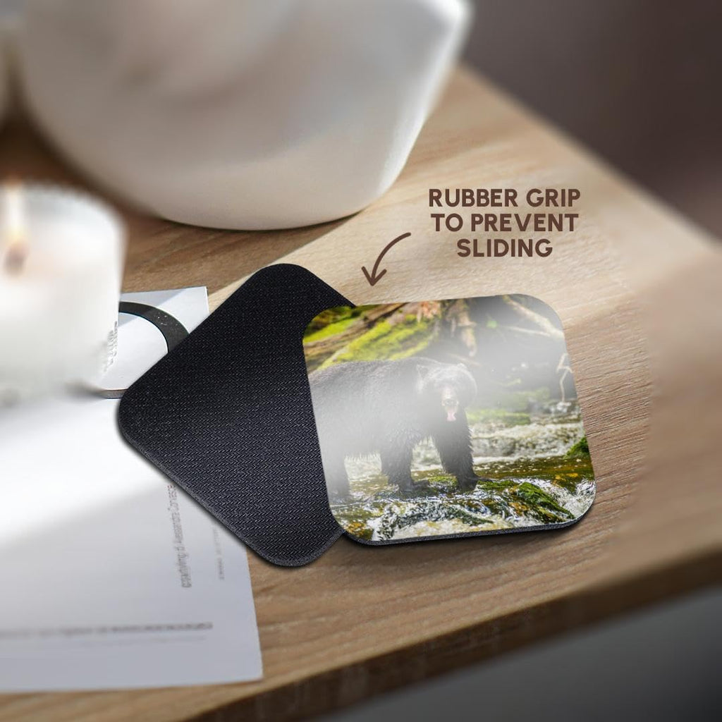 Set of 4 Coasters R74740