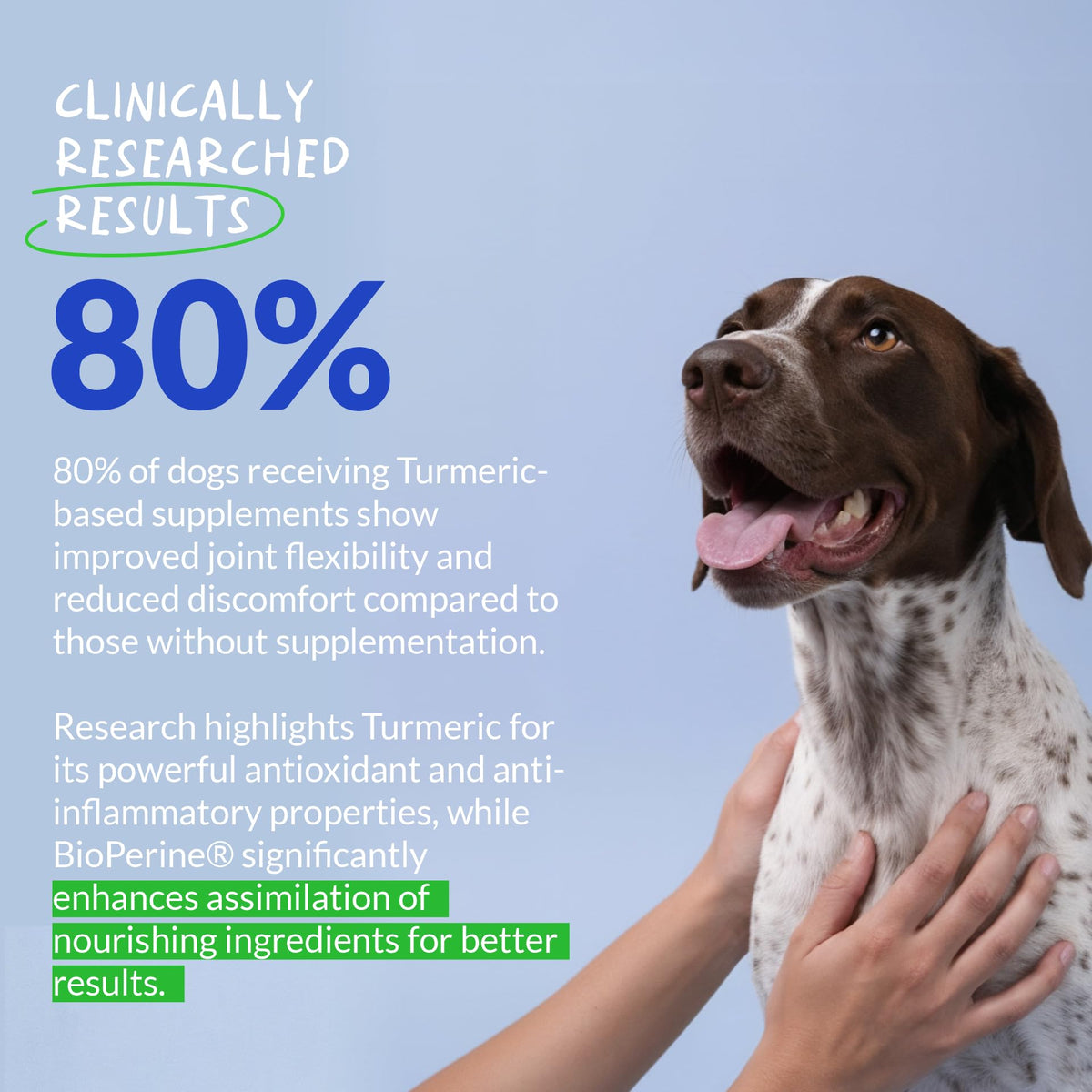Turmeric for Dogs 120 ct N9054