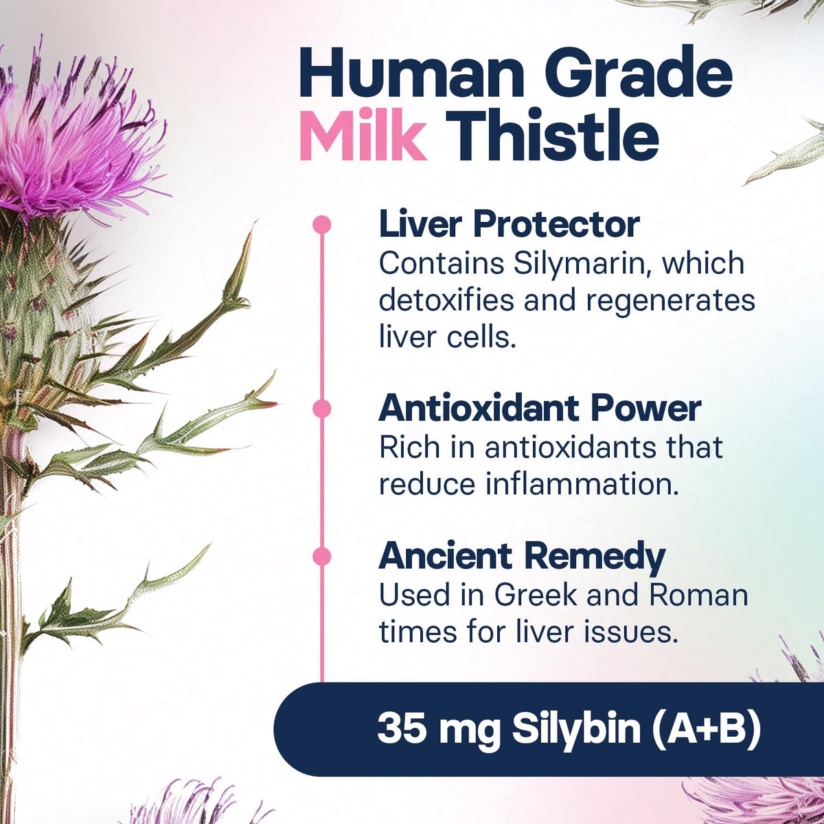 Milk Thistle Liver Health Supplement 30 Tablets C427