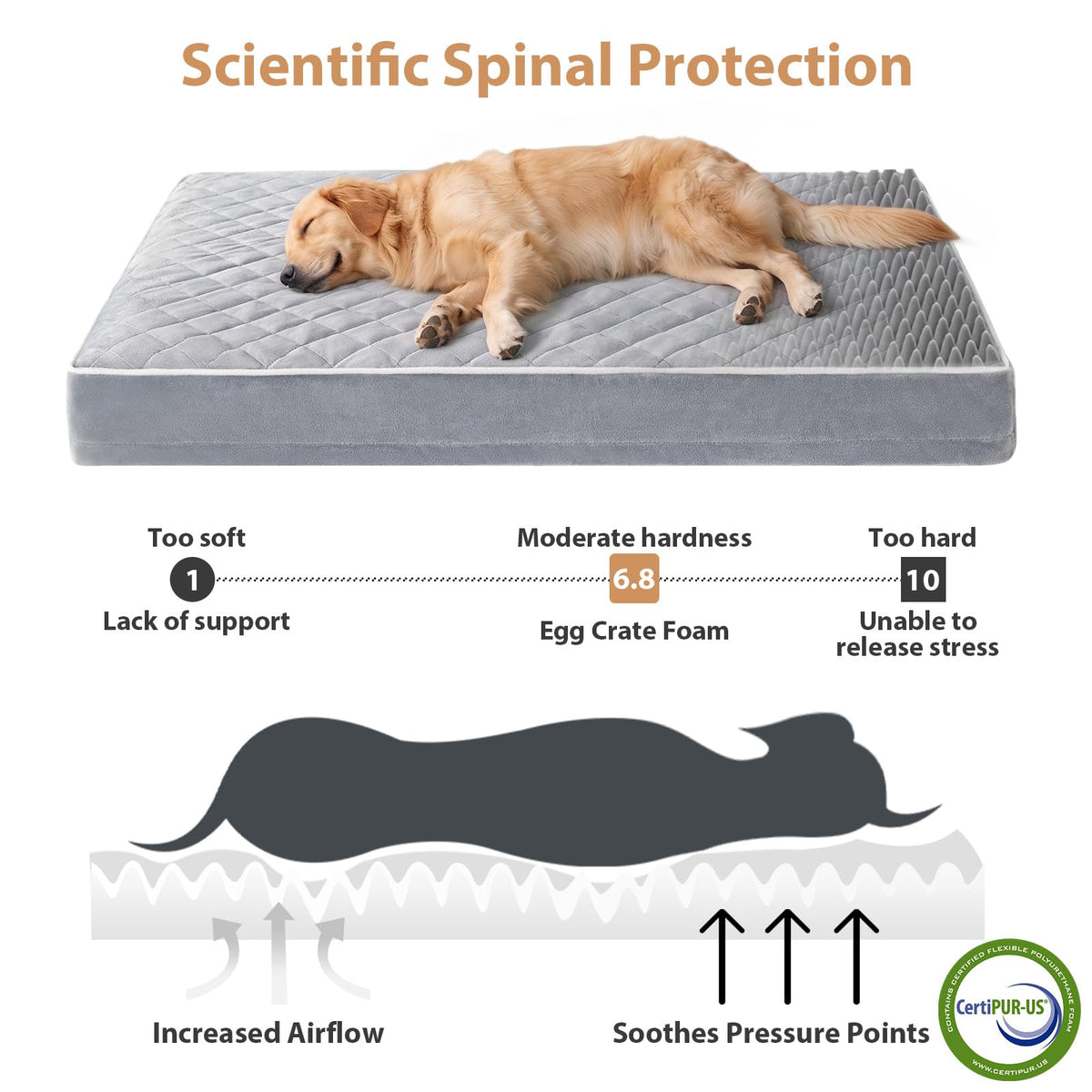 Waterproof Extra Large Orthopedic Dog Bed C781