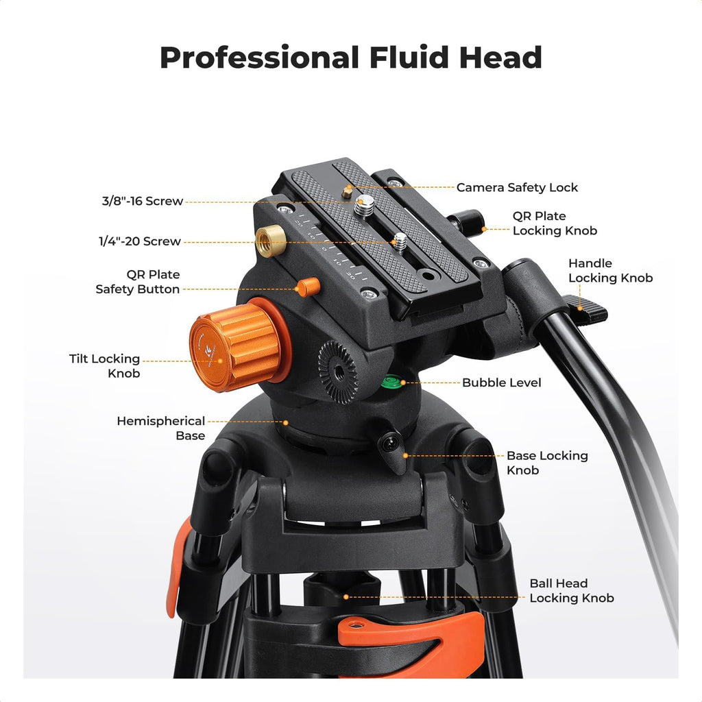 80" Video Tripod with Fluid Head K484348