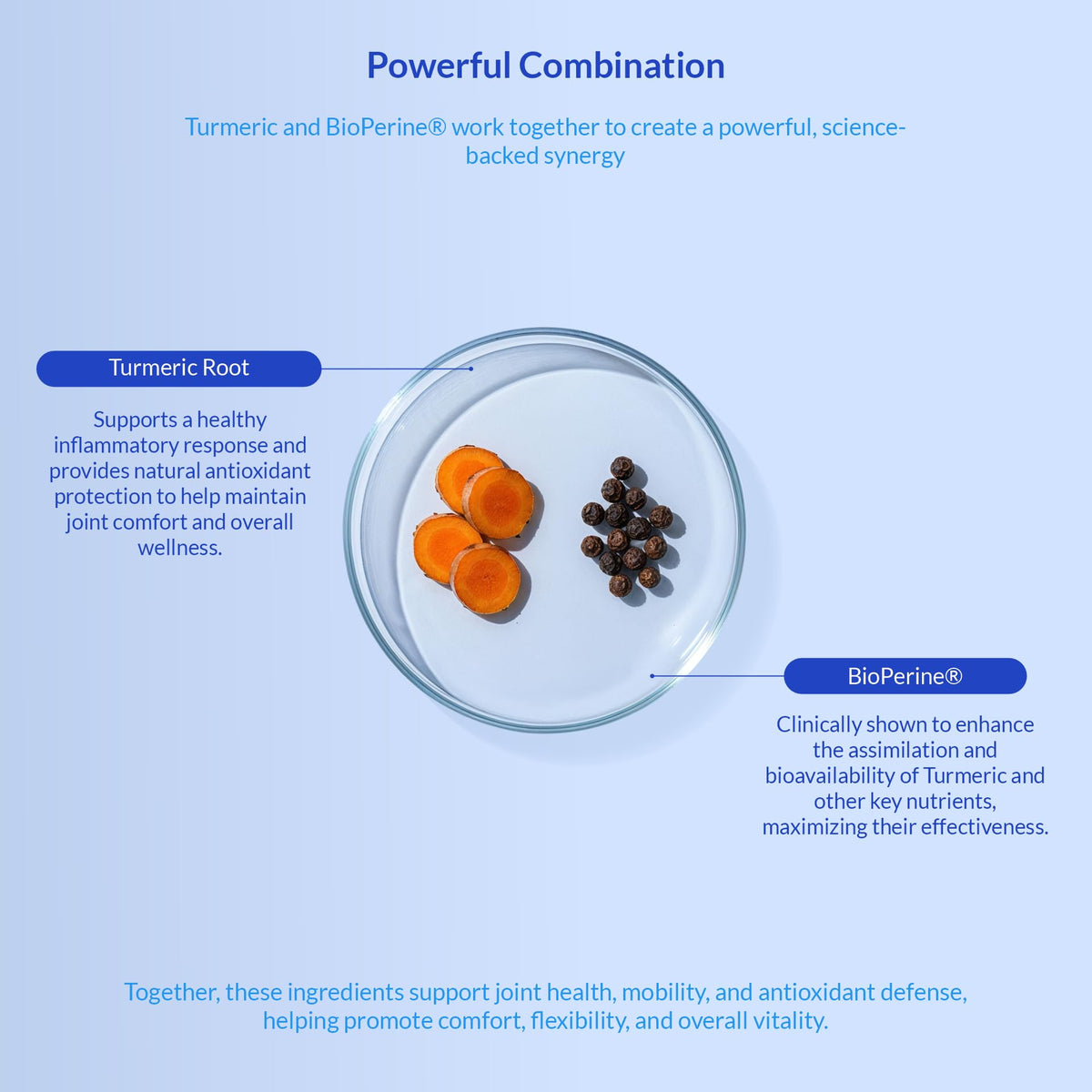 Turmeric for Dogs 120 ct N9054