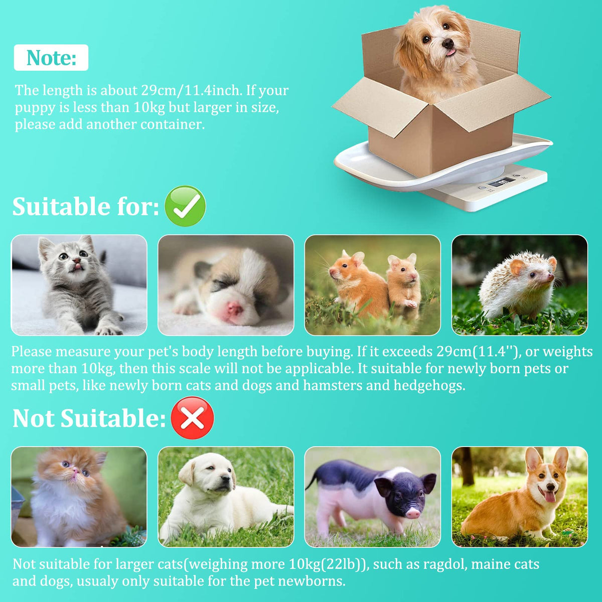 Digital Mini Pet Scale with Tray P57990
