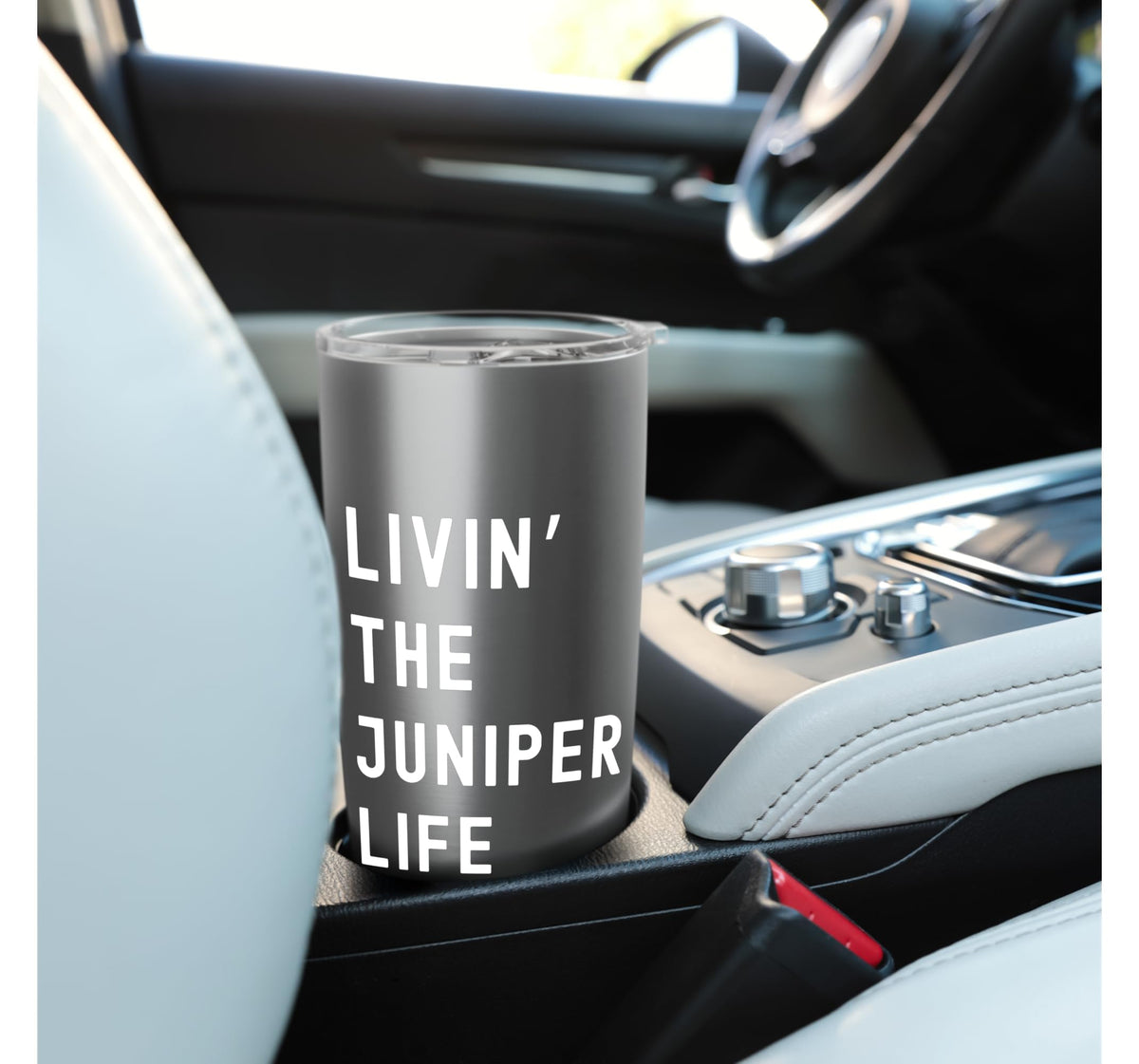 Stainless Steel Insulated Tumbler C746762