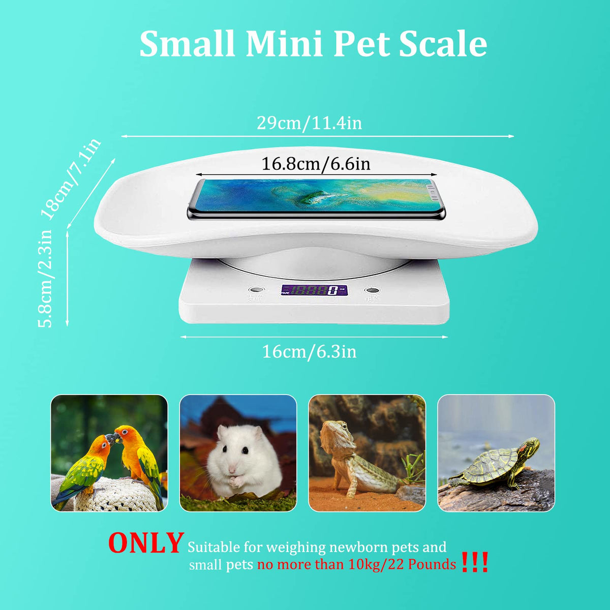 Digital Mini Pet Scale with Tray P57990