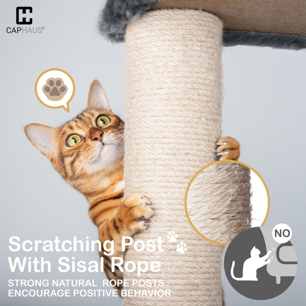 Extra Large 80-Inch Tall Cat Tree with Scratching Posts L5447