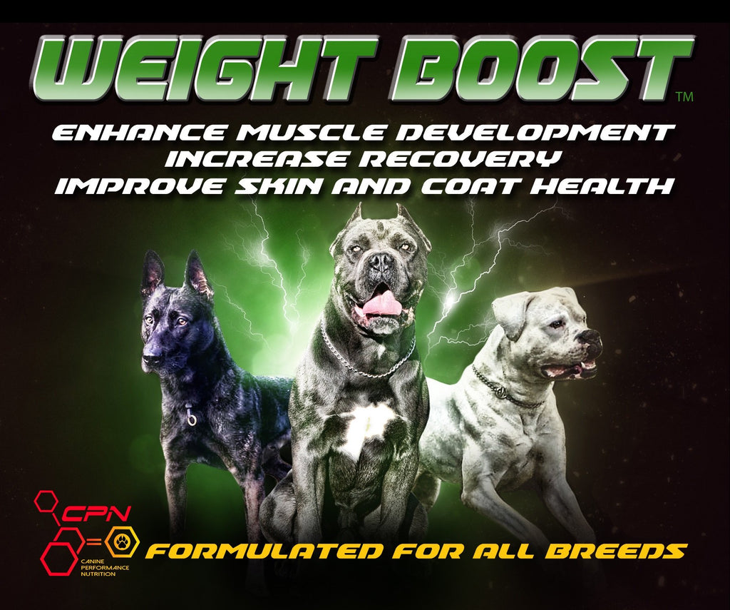 High Calorie Dog Food Supplement 6lb U127624