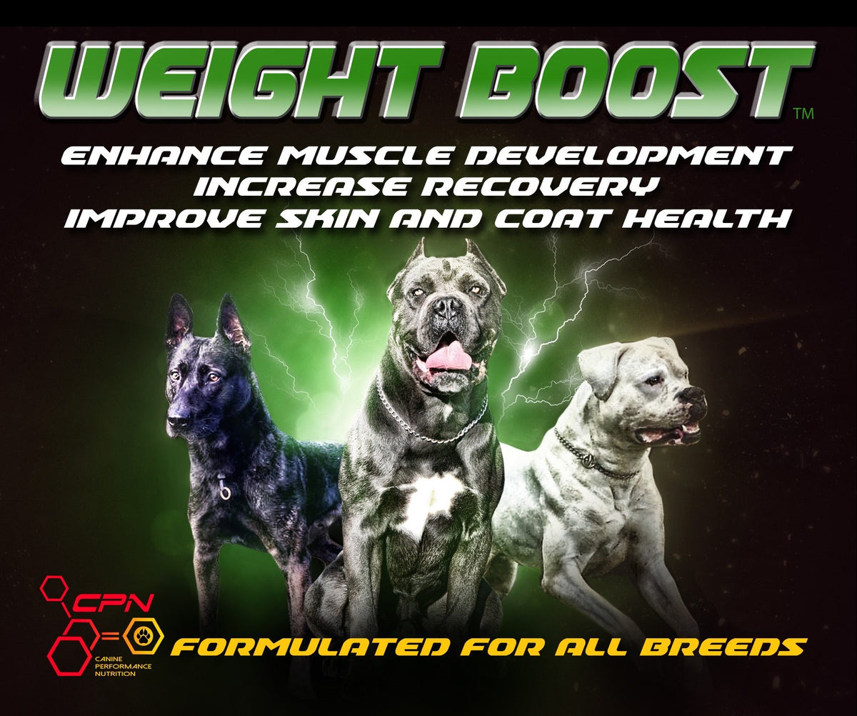 High Calorie Dog Food Supplement 6lb U127624