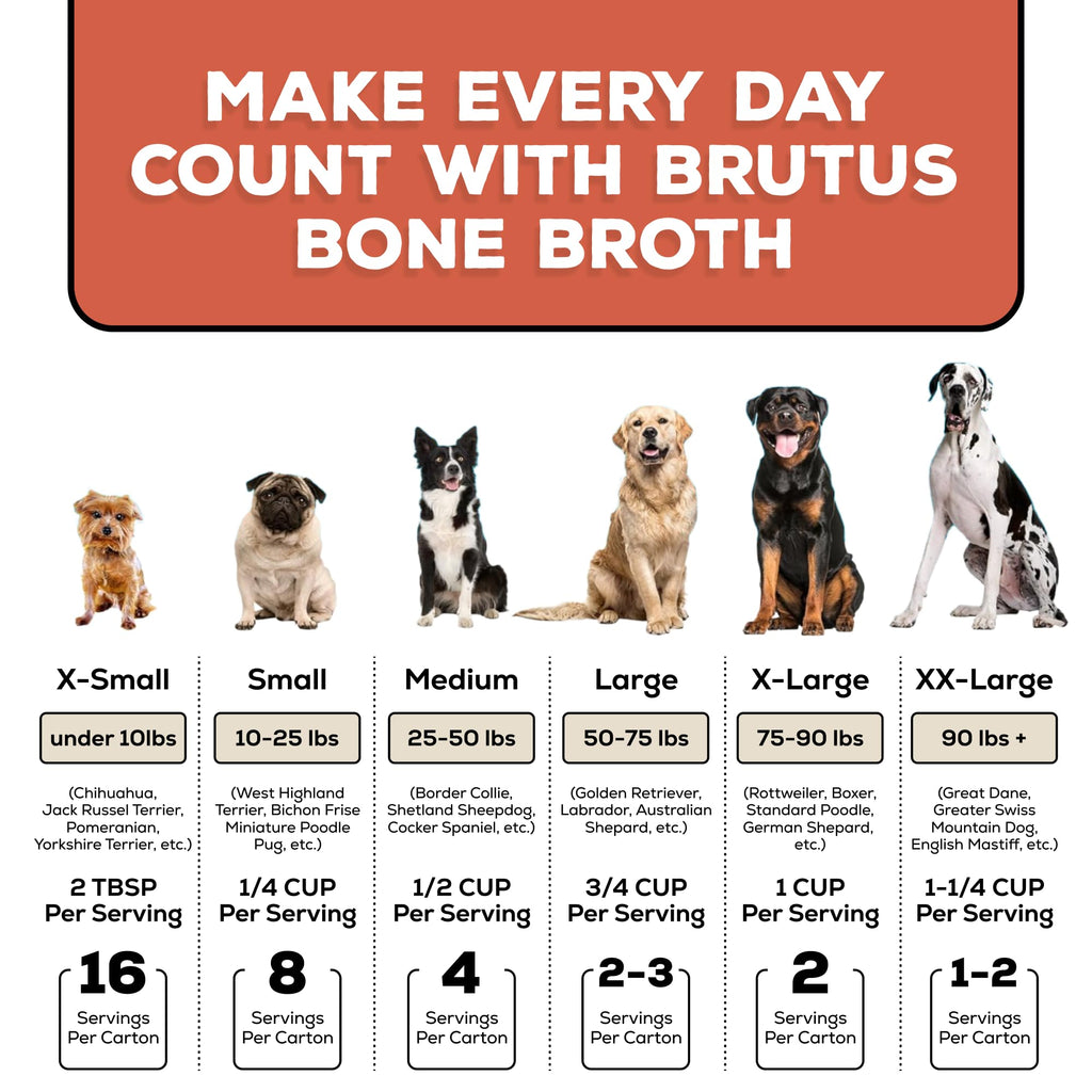 Bone Broth for Dogs with Chondroitin Glucosamine Turmeric 16.9oz Pack of 6 I448