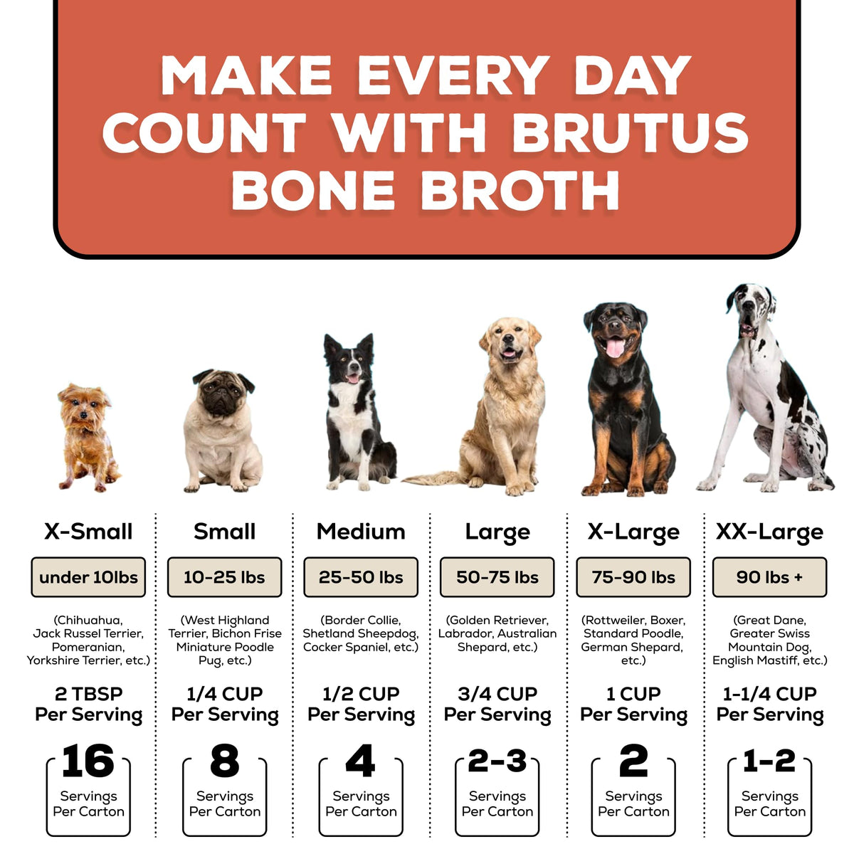 Bone Broth for Dogs with Chondroitin Glucosamine Turmeric 16.9oz Pack of 6 I448
