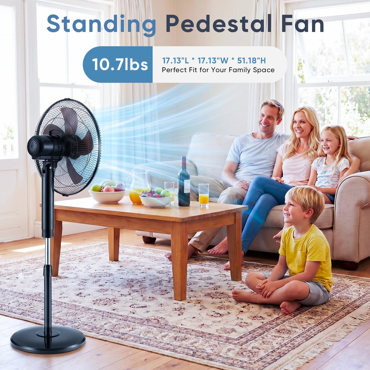 17" Oscillating Pedestal Fan with Remote X861