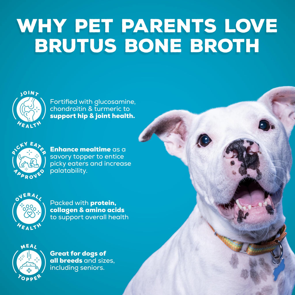 Bone Broth for Dogs with Chondroitin Glucosamine Turmeric 16.9oz Pack of 6 I448