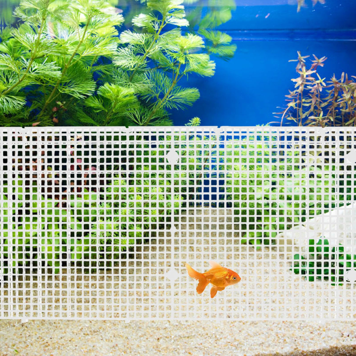 4pcs Cuttable Plastic Aquarium Tank Dividers with Suction Cups W1638