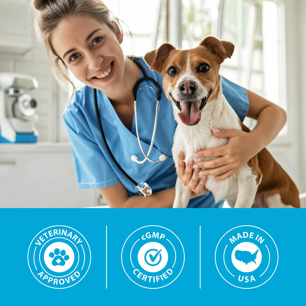 Canine Joint Soft Chews 90 Count R633