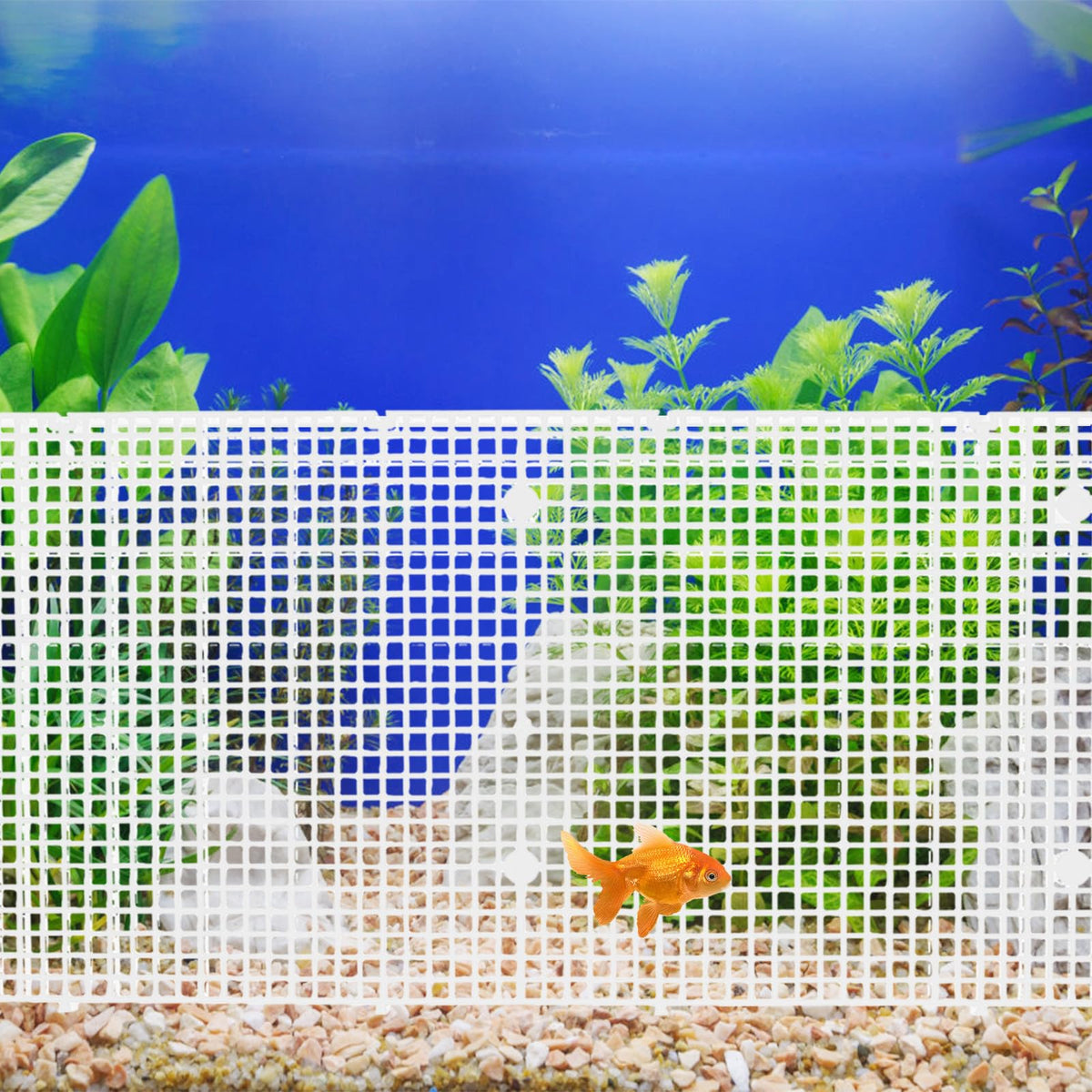 4pcs Cuttable Plastic Aquarium Tank Dividers with Suction Cups W1638