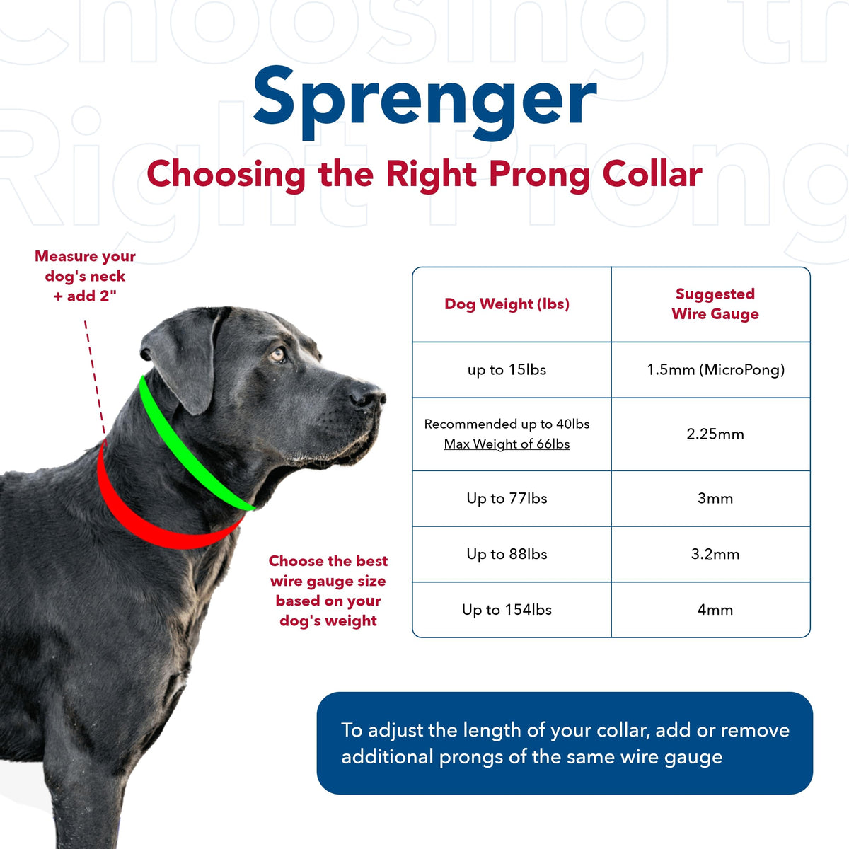 Steel Chrome Plated 3.0 mm Dog Prong Collar U234825