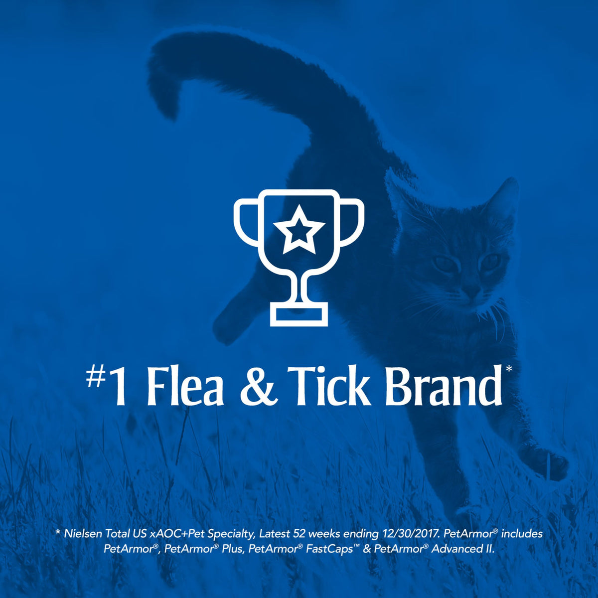 Flea & Tick Treatment for Cats O628752