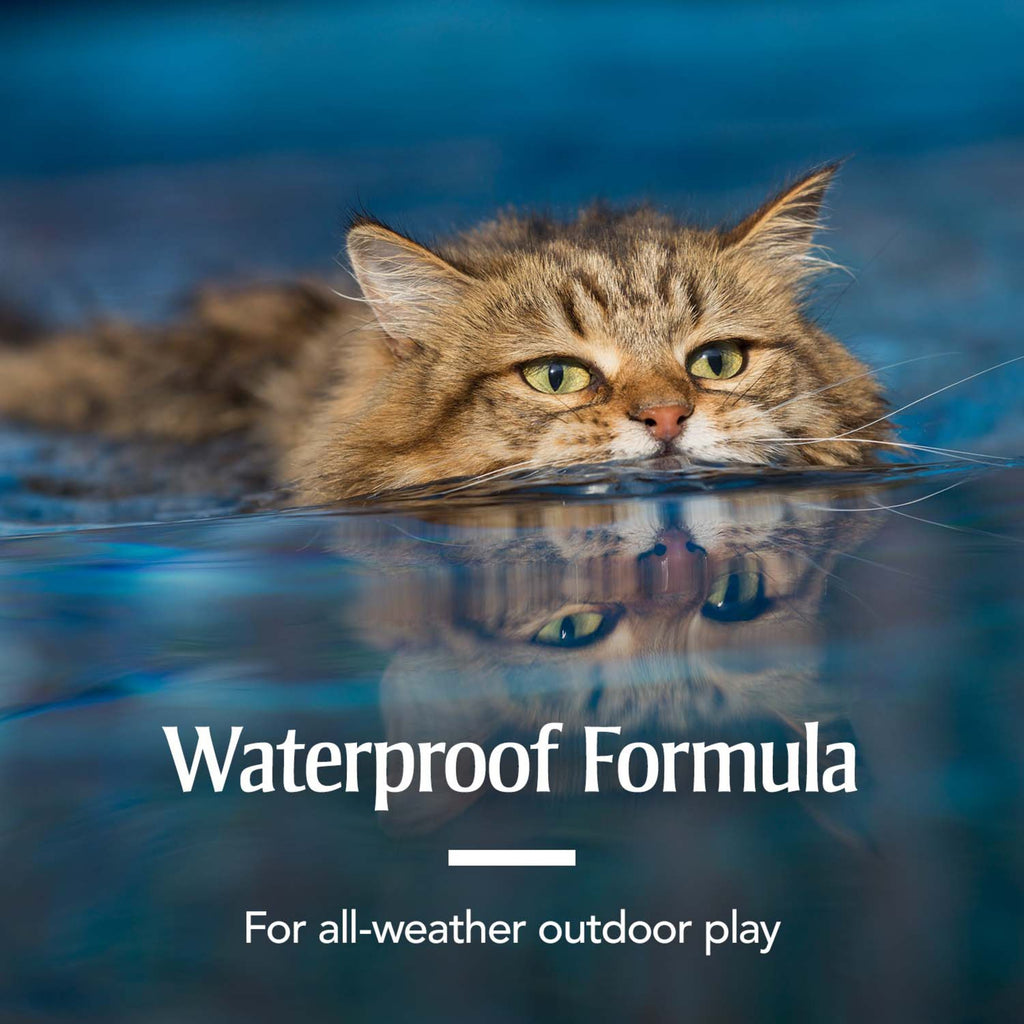 Flea & Tick Treatment for Cats O628752