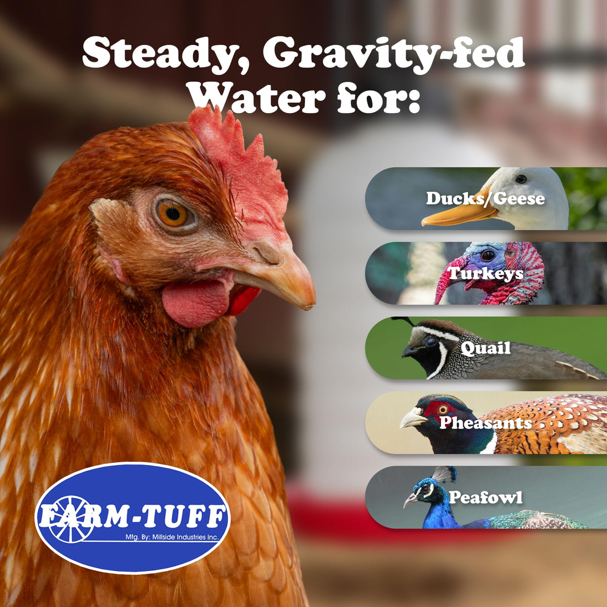 7 Gallon BPA-Free Plastic Hanging Chicken Waterer N4085