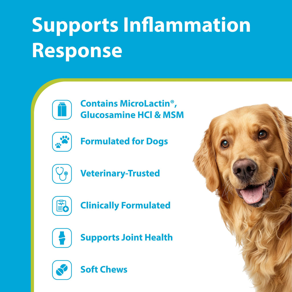 Canine Joint Soft Chews 90 Count R633