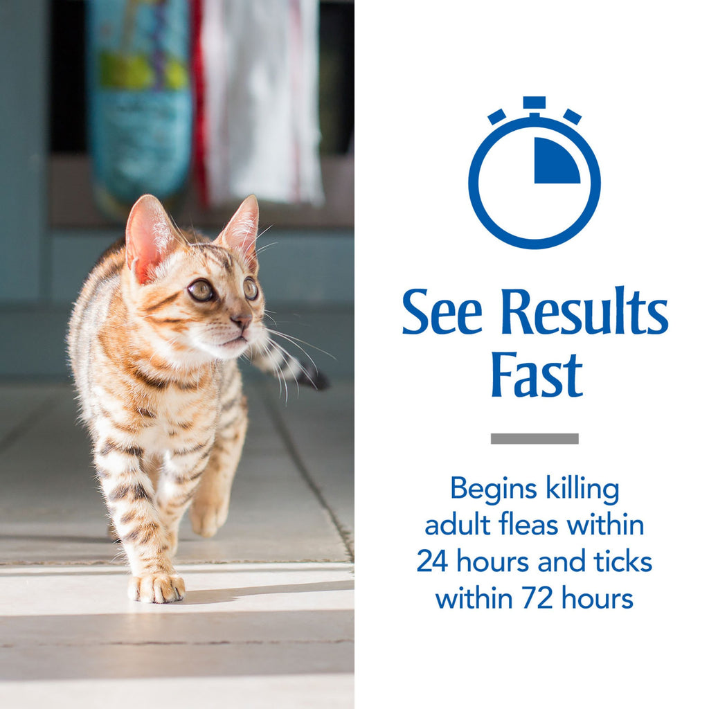 Flea & Tick Treatment for Cats O628752