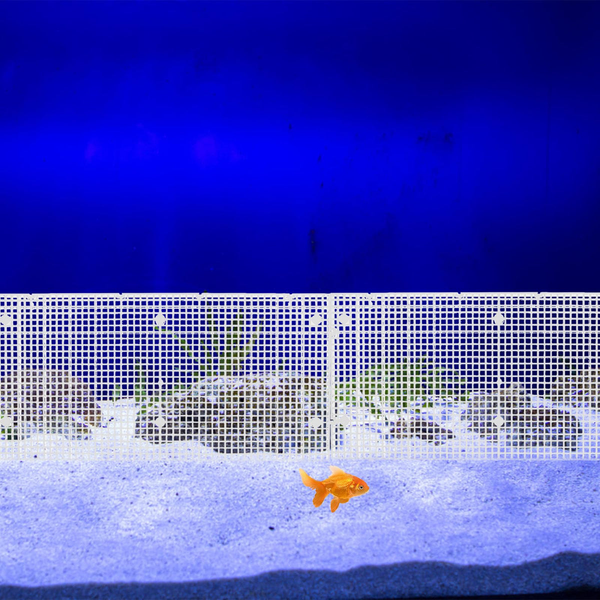 4pcs Cuttable Plastic Aquarium Tank Dividers with Suction Cups W1638