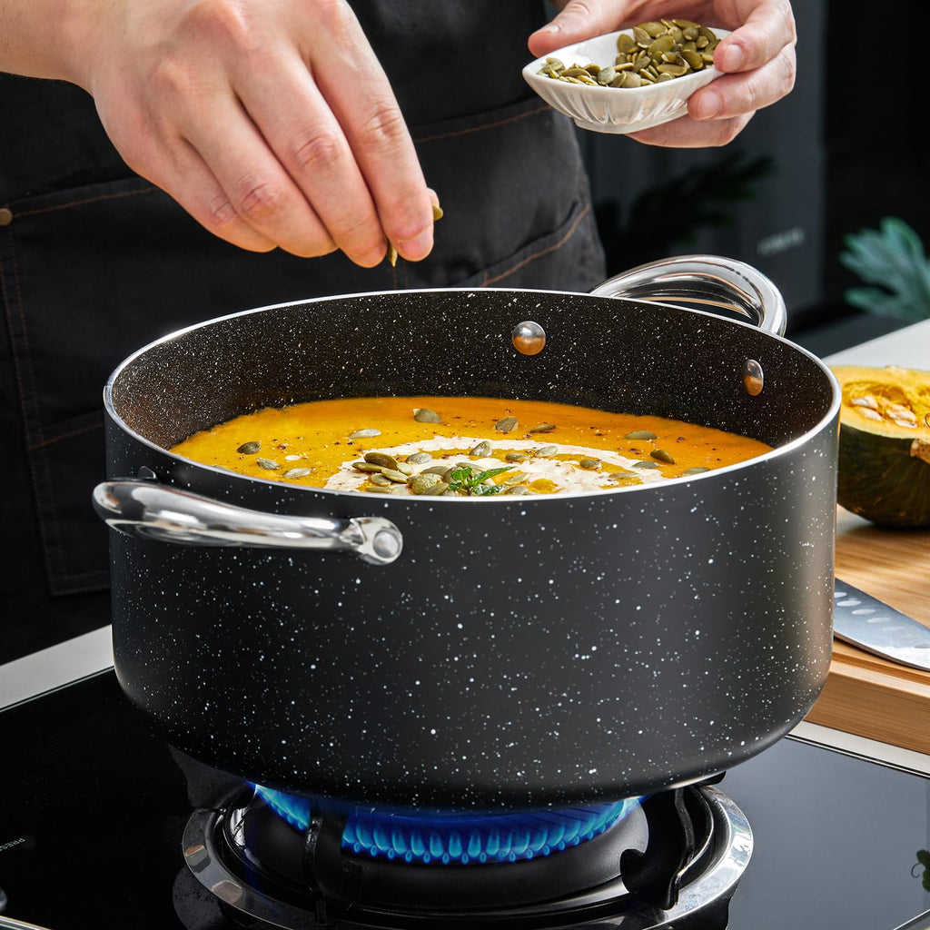 6 Quart Nonstick Stock Pot with Lid J147