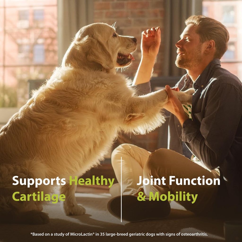 Canine Joint Soft Chews 90 Count R633