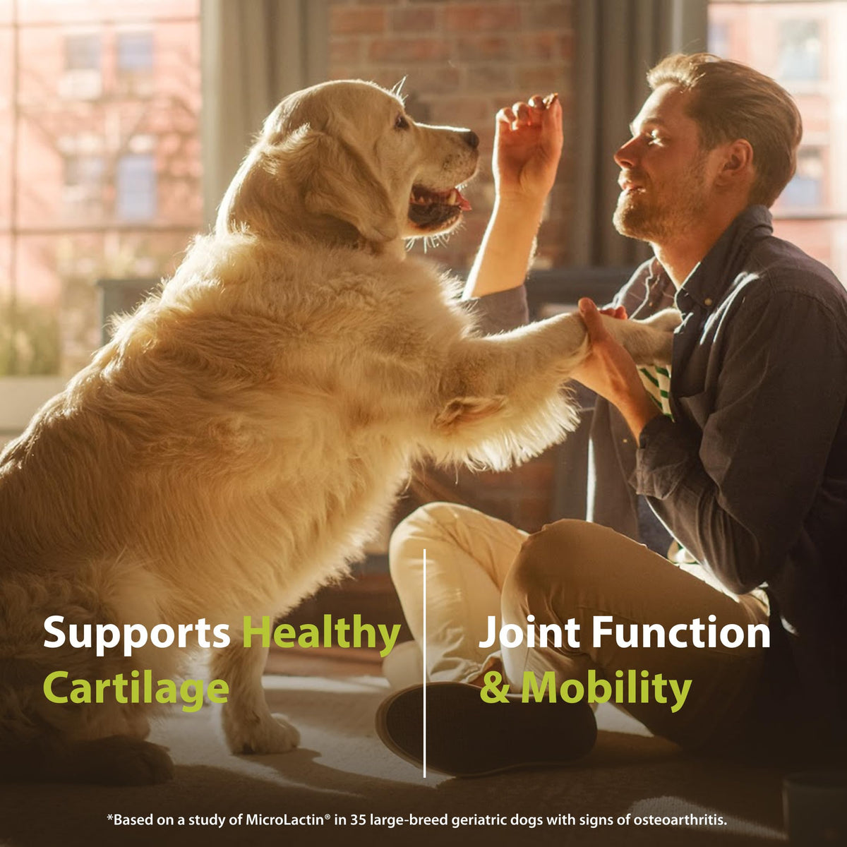 Canine Joint Soft Chews 90 Count R633
