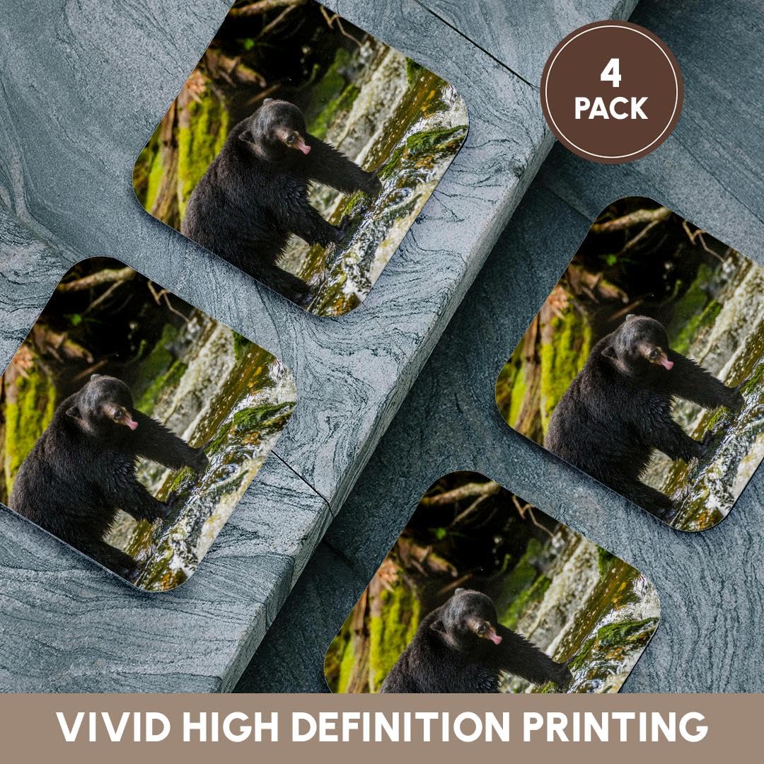 Set of 4 Coasters R74740