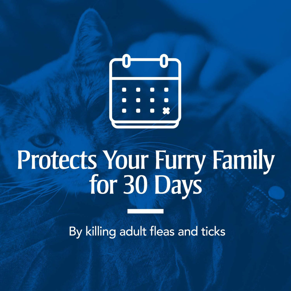 Flea & Tick Treatment for Cats O628752