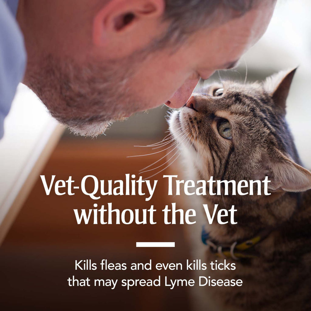 Flea & Tick Treatment for Cats O628752