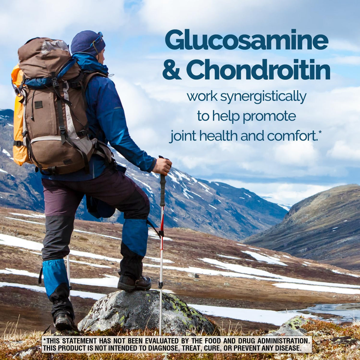 Triple Strength Glucosamine Chondroitin MSM 90 Tablets D98722